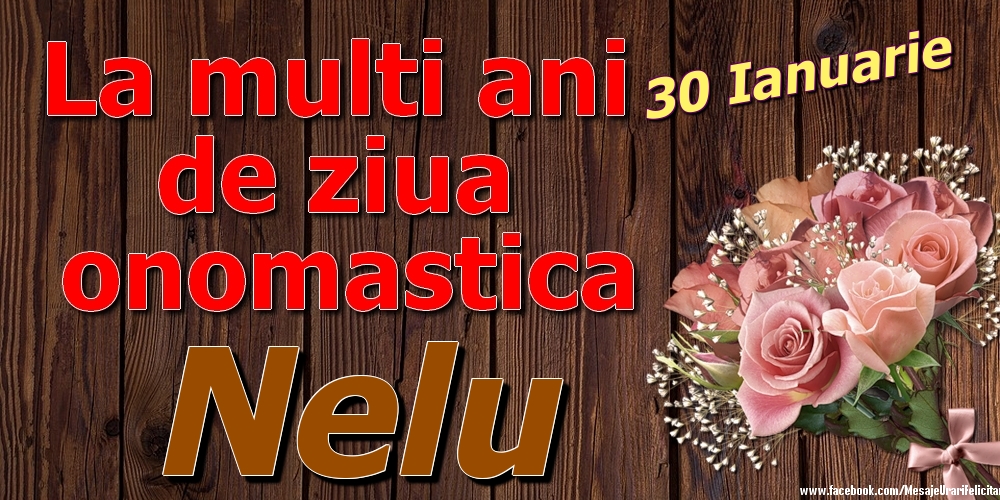 Felicitari de Ziua Numelui - 30 Ianuarie - La mulți ani de ziua onomastică Nelu