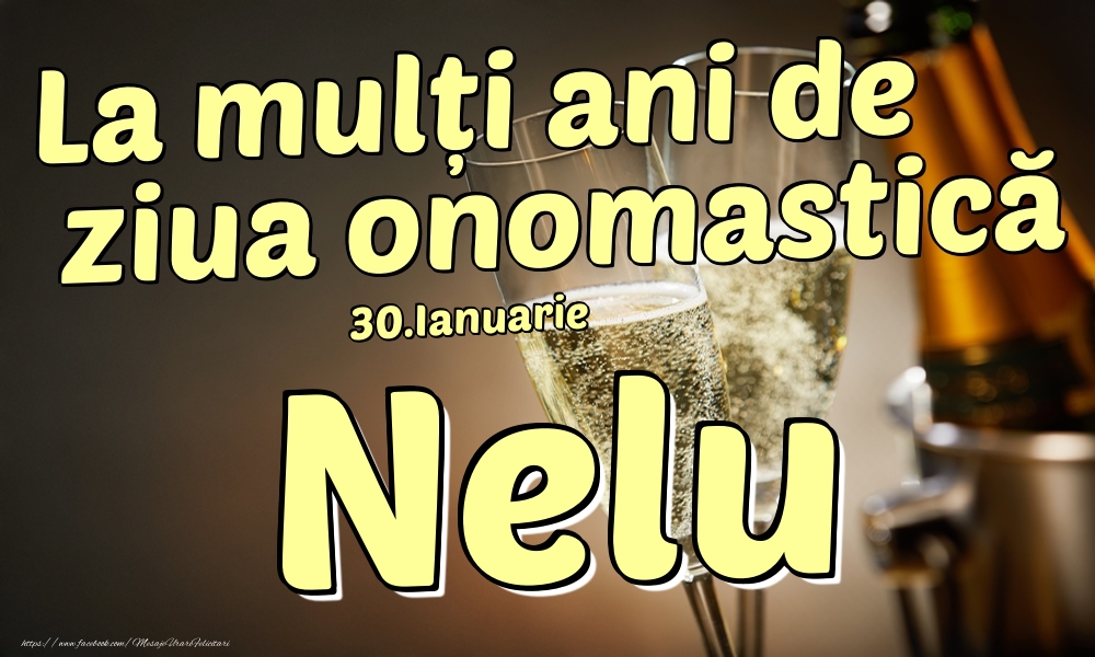 Felicitari de Ziua Numelui - Sampanie | 30.Ianuarie - La mulți ani de ziua onomastică Nelu!