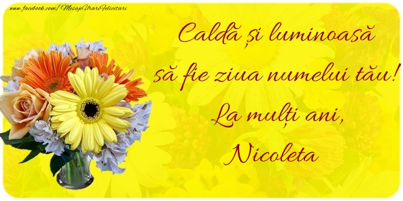 Felicitari de Ziua Numelui - Buchete De Flori | Caldă și luminoasă să fie ziua numelui tău! La mulți ani, Nicoleta