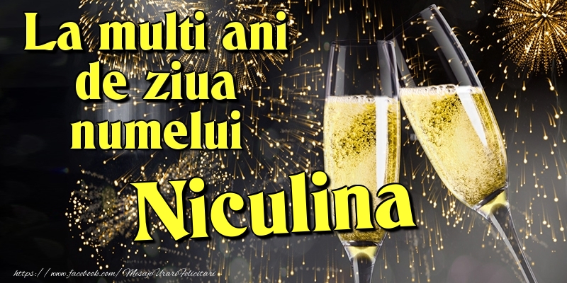 Felicitari de Ziua Numelui - Artificii & Sampanie | La multi ani de ziua numelui Niculina