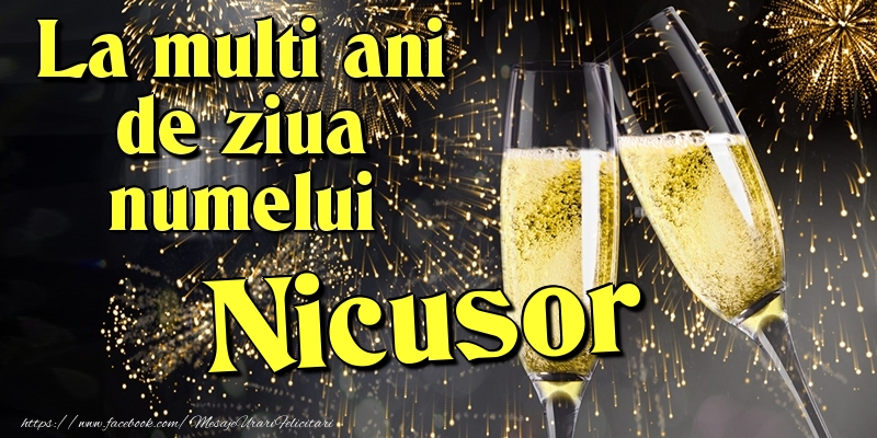 Felicitari de Ziua Numelui - Artificii & Sampanie | La multi ani de ziua numelui Nicusor