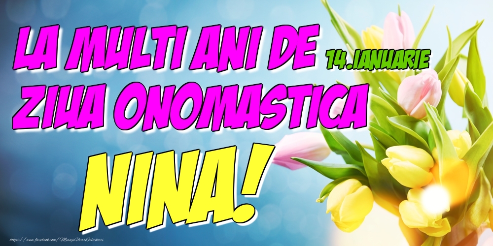 Felicitari de Ziua Numelui - Lalele | 14.Ianuarie - La multi ani de ziua onomastica Nina!