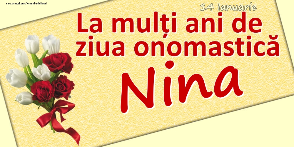 Felicitari de Ziua Numelui - 14 Ianuarie: La mulți ani de ziua onomastică Nina