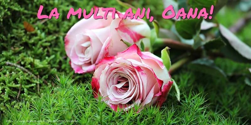 Felicitari de Ziua Numelui - Flori & Trandafiri | La multi ani, Oana!
