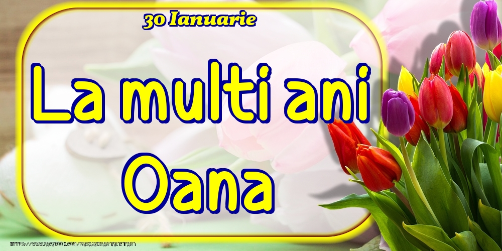  Felicitari de Ziua Numelui - Lalele | 30 Ianuarie -La  mulți ani Oana!