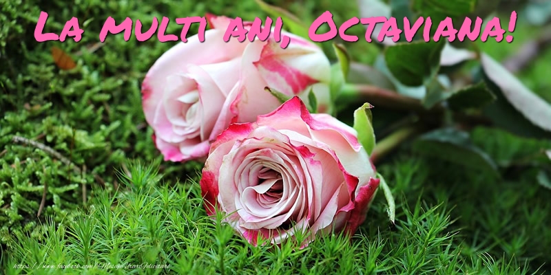 Felicitari de Ziua Numelui - Flori & Trandafiri | La multi ani, Octaviana!