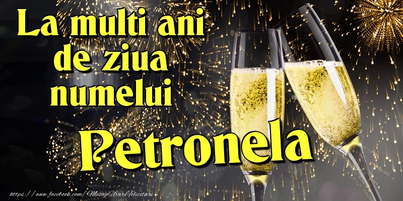 Felicitari de Ziua Numelui - Artificii & Sampanie | La multi ani de ziua numelui Petronela