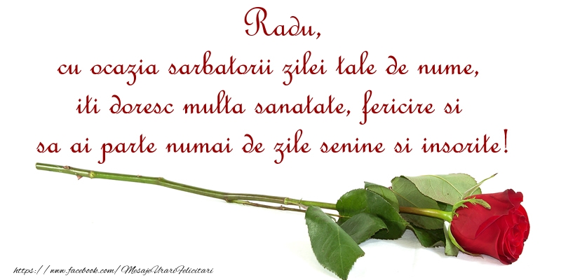 Felicitari de Ziua Numelui - Radu, cu ocazia sarbatorii zilei tale de nume, iti doresc multa sanatate, fericire si sa ai parte numai de zile senine si insorite!