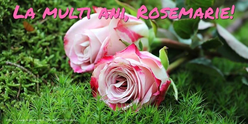 Felicitari de Ziua Numelui - Flori & Trandafiri | La multi ani, Rosemarie!