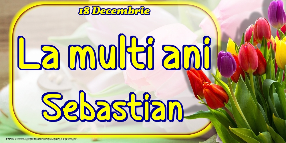 Felicitari de Ziua Numelui - Lalele | 18 Decembrie -La  mulți ani Sebastian!