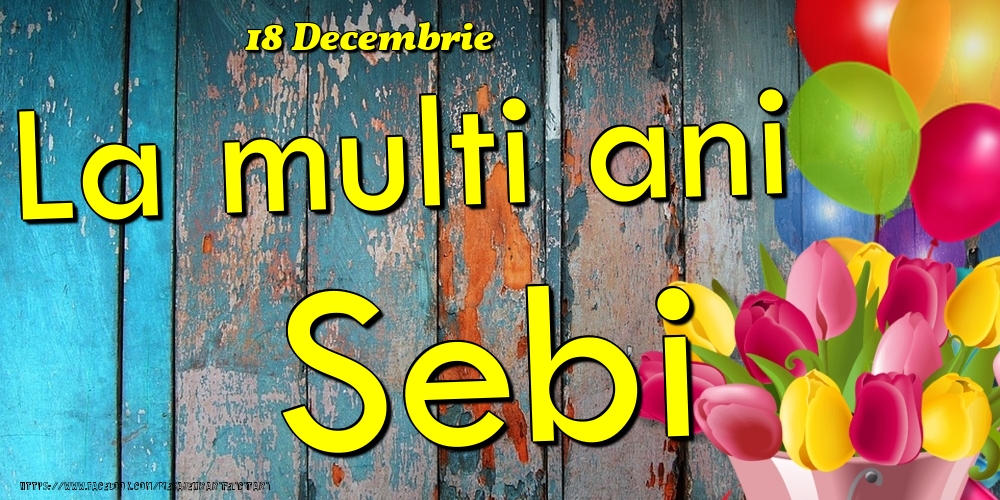 Felicitari de Ziua Numelui - Baloane & Lalele | 18 Decembrie - La multi ani Sebi!
