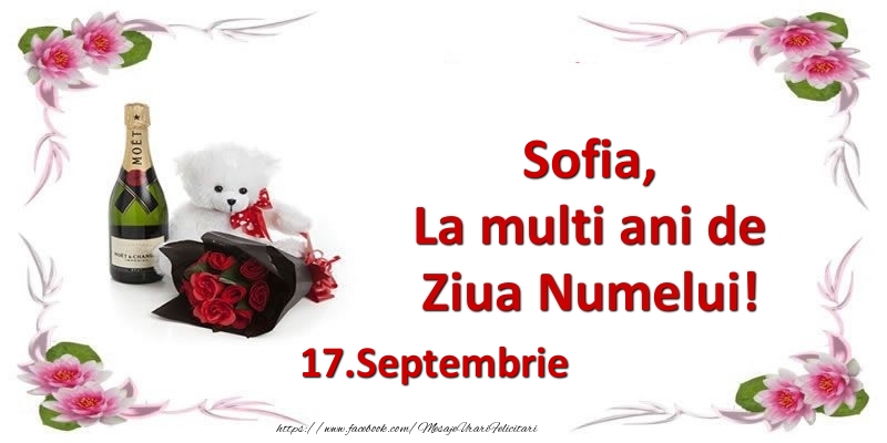 Felicitari de Ziua Numelui - Flori & Sampanie & Ursuleti | Sofia, la multi ani de ziua numelui! 17.Septembrie