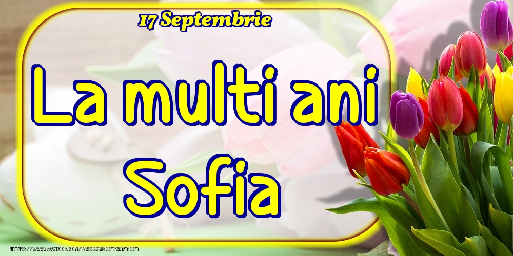 Felicitari de Ziua Numelui - Lalele | 17 Septembrie -La  mulți ani Sofia!