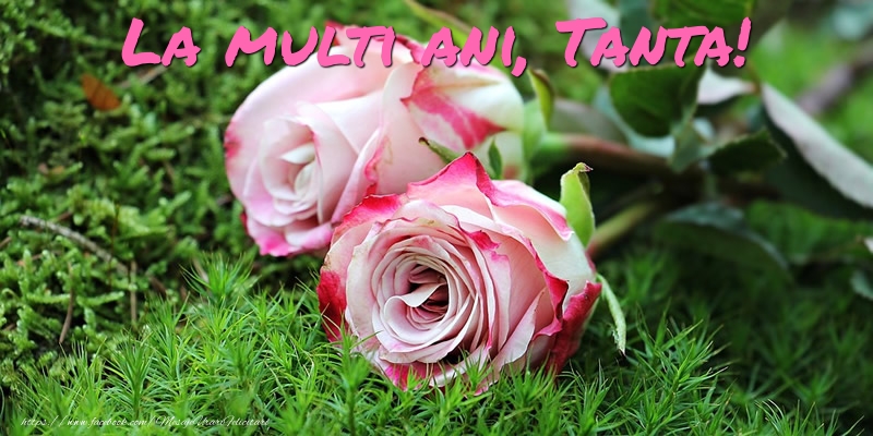 Felicitari de Ziua Numelui - Flori & Trandafiri | La multi ani, Tanta!