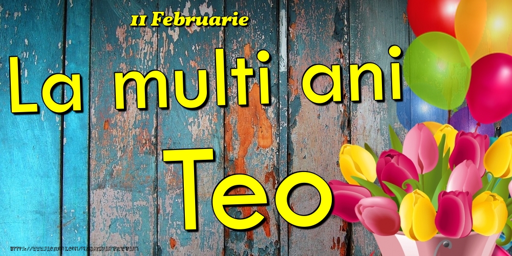 Felicitari de Ziua Numelui - Baloane & Lalele | 11 Februarie -La  mulți ani Teo!