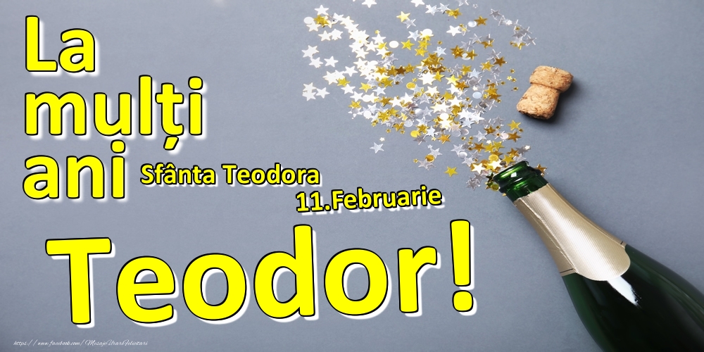 Felicitari de Ziua Numelui - 11.Februarie - La mulți ani Teodor!  - Sfânta Teodora