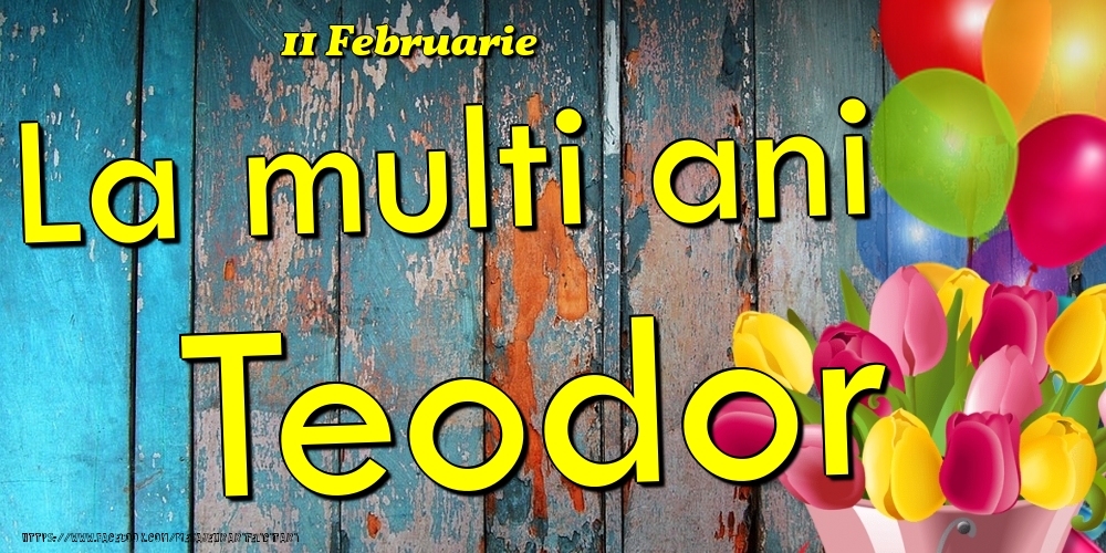 Felicitari de Ziua Numelui - Baloane & Lalele | 11 Februarie -La  mulți ani Teodor!
