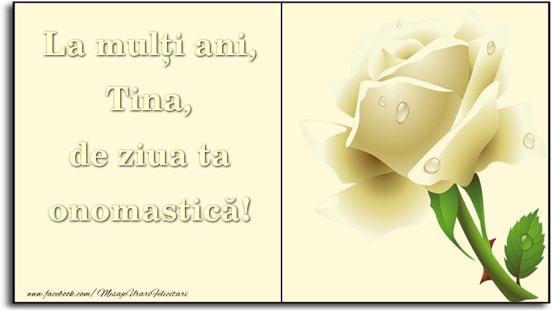 Felicitari de Ziua Numelui - Trandafiri | La mulți ani, de ziua ta onomastică! Tina