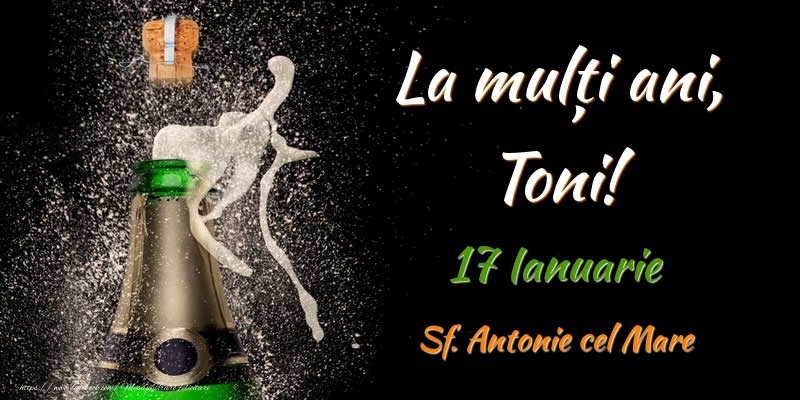 Felicitari de Ziua Numelui - Sampanie | La multi ani, Toni! 17 Ianuarie Sf. Antonie cel Mare