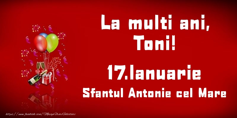 Felicitari de Ziua Numelui - Baloane & Sampanie | La multi ani, Toni! Sfantul Antonie cel Mare - 17.Ianuarie