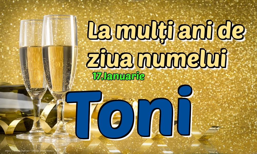 Felicitari de Ziua Numelui - 17.Ianuarie - La mulți ani de ziua numelui Toni!