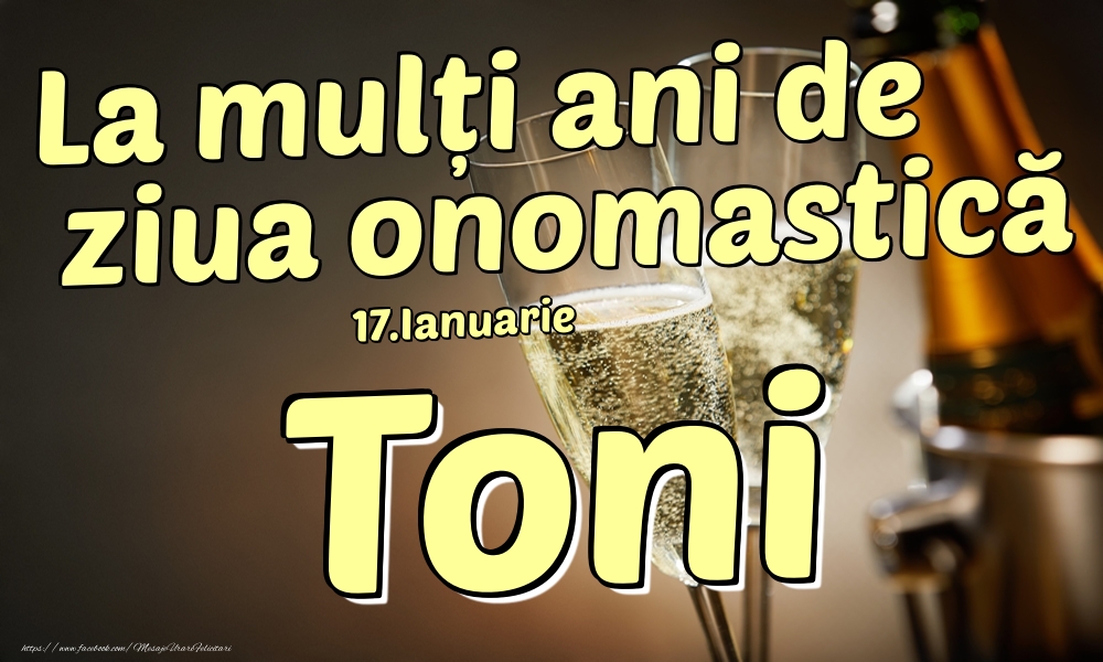 Felicitari de Ziua Numelui - Sampanie | 17.Ianuarie - La mulți ani de ziua onomastică Toni!