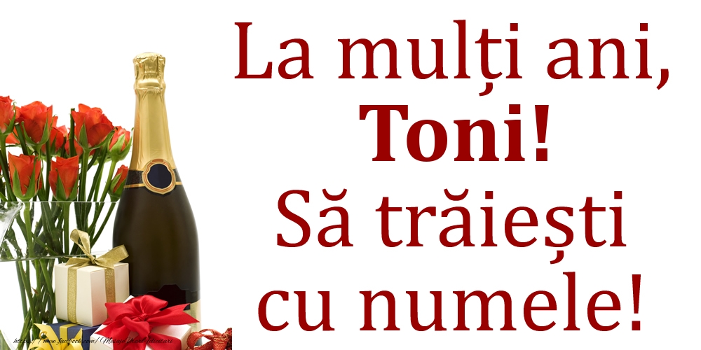 Felicitari de Ziua Numelui - Cadou & Flori & Sampanie | La mulți ani, Toni! Să trăiești cu numele!