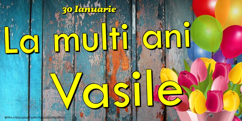 Felicitari de Ziua Numelui - Baloane & Lalele | 30 Ianuarie - La multi ani Vasile!