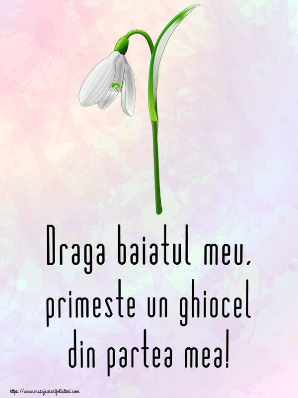 Felicitari de 1 Martie pentru Baiat - Draga baiatul meu, primeste un ghiocel din partea mea!