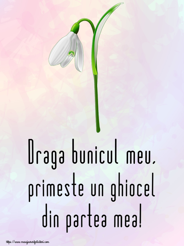 Felicitari de 1 Martie pentru Bunic - Draga bunicul meu, primeste un ghiocel din partea mea!