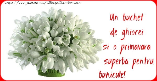 Felicitari de 1 Martie pentru Bunic - Un buchet de ghiocei si o primavara superba pentru bunicule