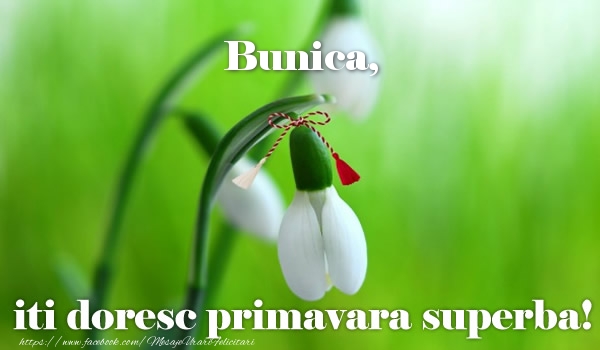 Felicitari de 1 Martie pentru Bunica - Bunica iti doresc primavara superba!