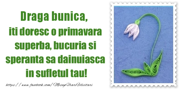 Felicitari de 1 Martie pentru Bunica - Draga bunica iti doresc o primavara superba, bucuria si  speranta sa dainuiasca in sufletul tau!