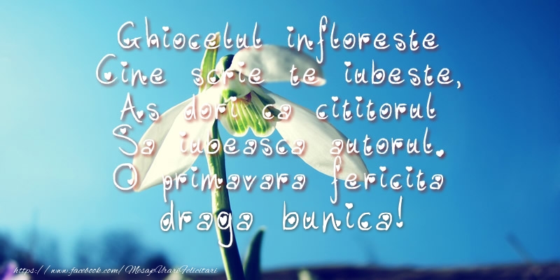 Felicitari de 1 Martie pentru Bunica - Ghiocelul infloreste, Cine scrie te iubeste, As dori ca cititorul Sa iubeasca autorul. O primavara fericita draga bunica!