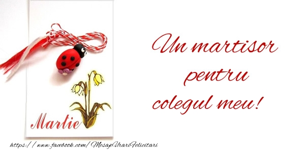 Felicitari de 1 Martie pentru Coleg - Un martisor pentru colegul meu!