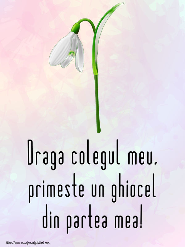 Felicitari de 1 Martie pentru Coleg - Draga colegul meu, primeste un ghiocel din partea mea!