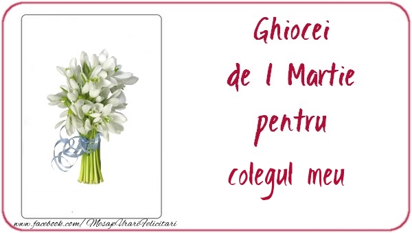 Felicitari de 1 Martie pentru Coleg - Ghiocei de 1 Martie pentru colegul meu