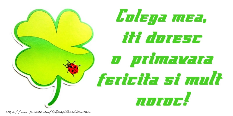 Felicitari de 1 Martie pentru Colega - Colega mea iti doresc o primavara fericita si mult noroc!