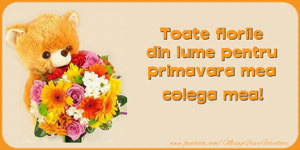 Felicitari de 1 Martie pentru Colega - Toate florile din lume pentru primavara mea! colega mea
