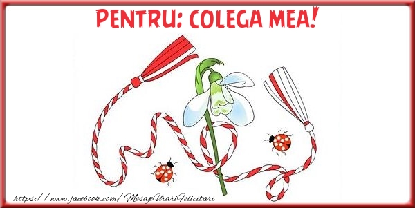 Felicitari de 1 Martie pentru Colega - Pentru colega mea!