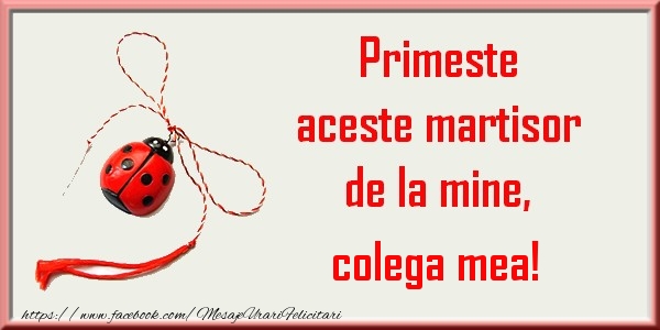 Felicitari de 1 Martie pentru Colega - Primeste aceste martisor de la mine, colega mea