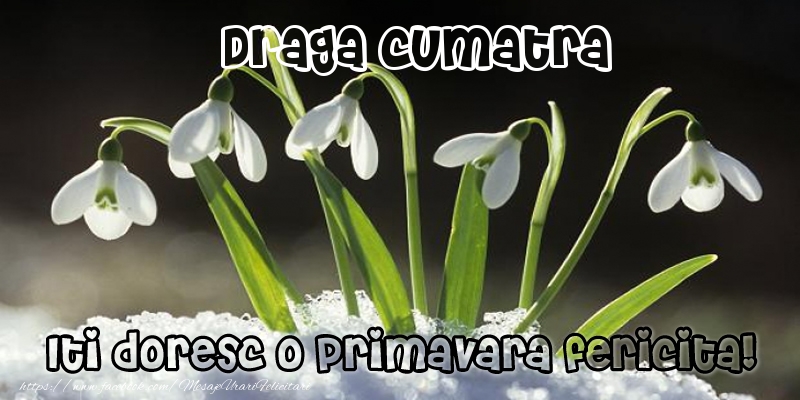 Felicitari de 1 Martie pentru Cumatra - Draga cumatra Iti doresc o primavara fericita!