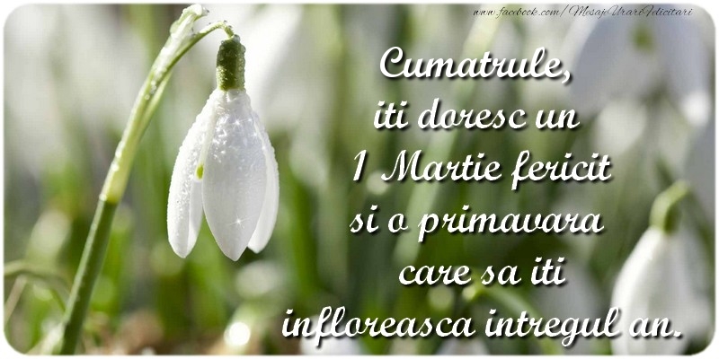 Felicitari de 1 Martie pentru Cumatru - Cumatrule, iti doresc un 1 Martie fericit si o primavara care sa iti infloreasca intregul an.