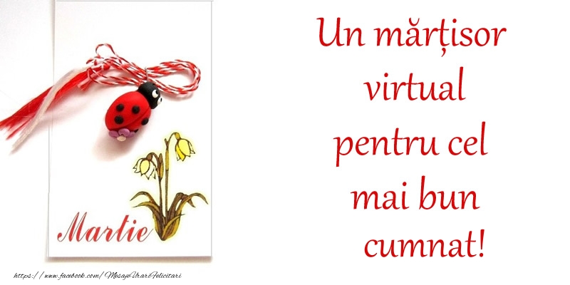 Felicitari de 1 Martie pentru Cumnat - Un mărțisor virtual pentru cel mai bun cumnat!
