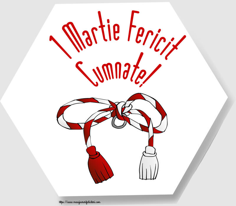 Felicitari de 1 Martie pentru Cumnat - 1 Martie Fericit cumnate!