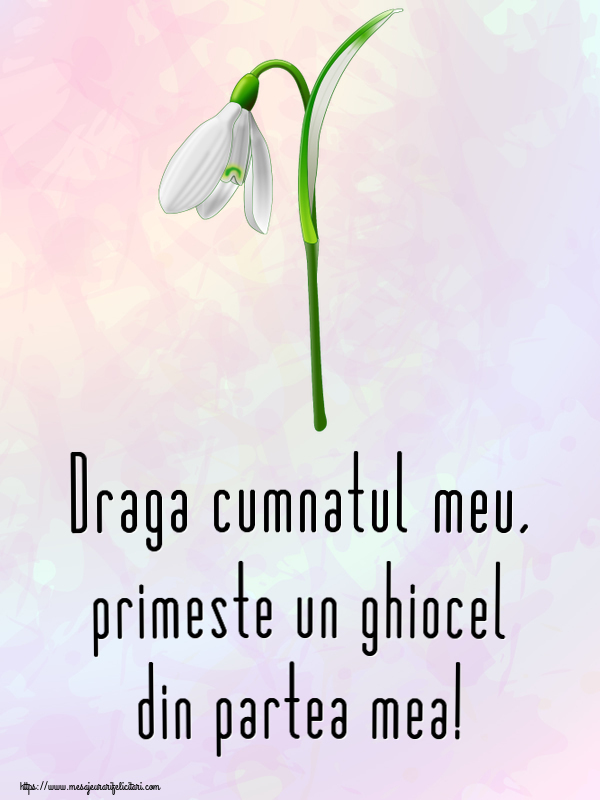 Felicitari de 1 Martie pentru Cumnat - Draga cumnatul meu, primeste un ghiocel din partea mea!