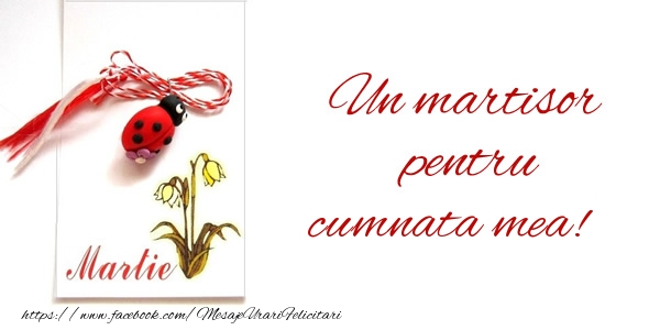 Felicitari de 1 Martie pentru Cumnata - Un martisor pentru cumnata mea!