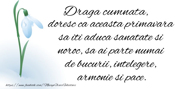 Felicitari de 1 Martie pentru Cumnata - Draga cumnata doresc ca aceasta primavara sa iti aduca sanatate si noroc ...