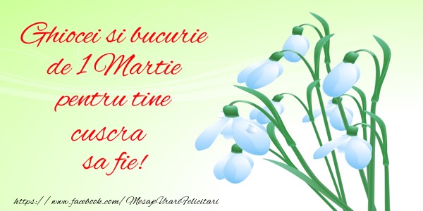 Felicitari de 1 Martie pentru Cuscra - Ghiocei si bucurie de 1 Martie pentru tine cuscra sa fie!
