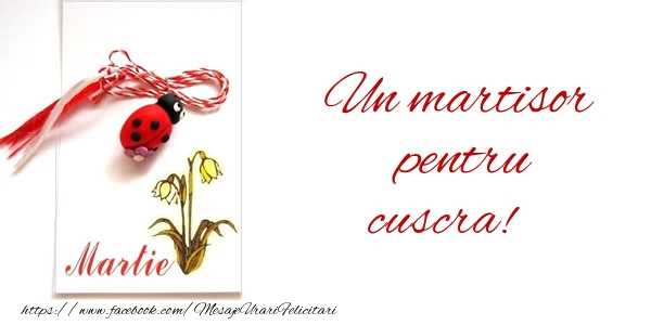 Felicitari de 1 Martie pentru Cuscra - Un martisor pentru cuscra!